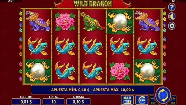 scr_Wild Dragon