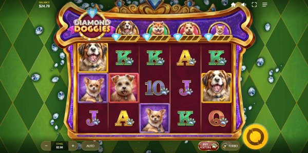scr_Diamond Doggies