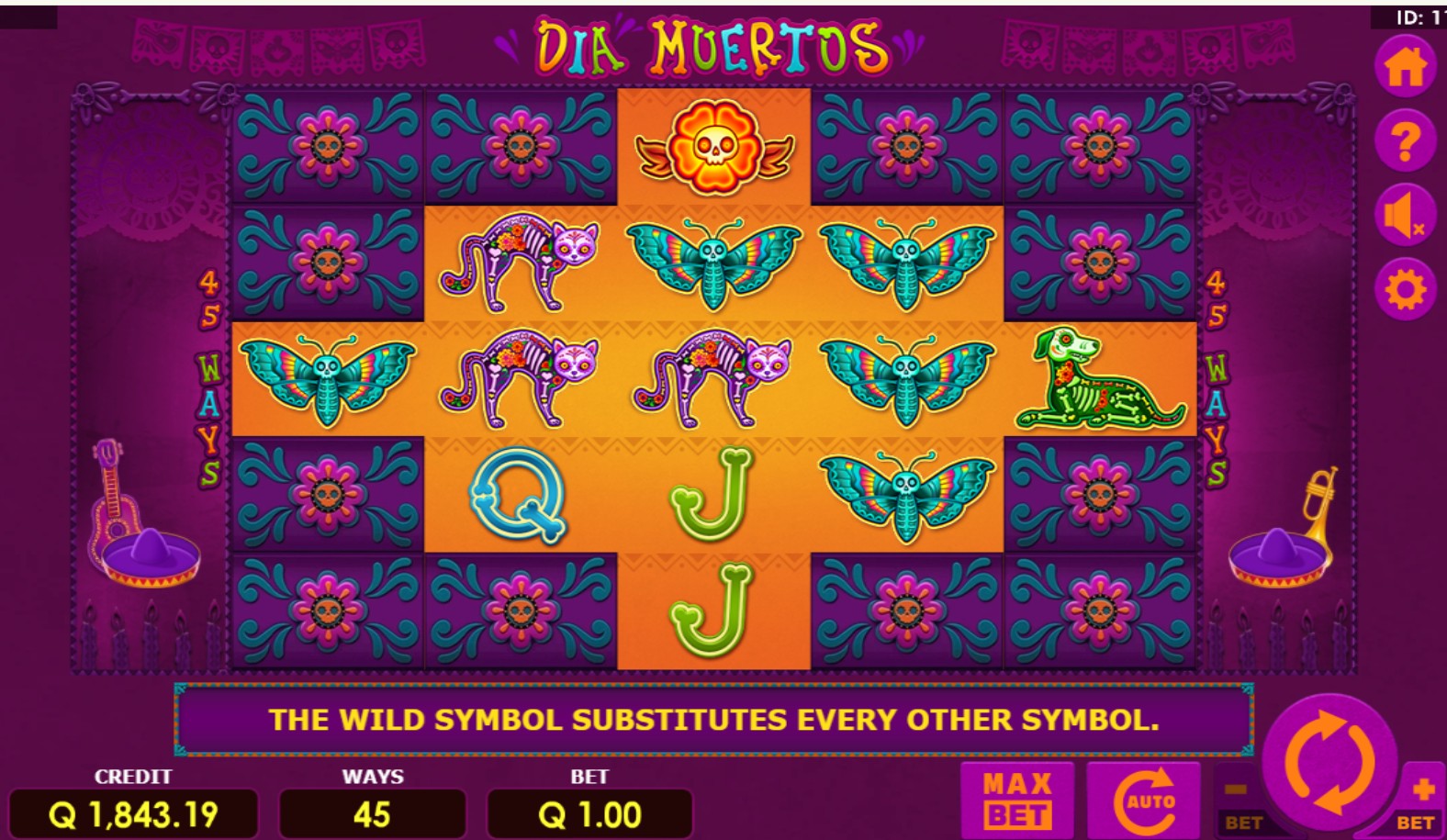 scr_Dia Muertos