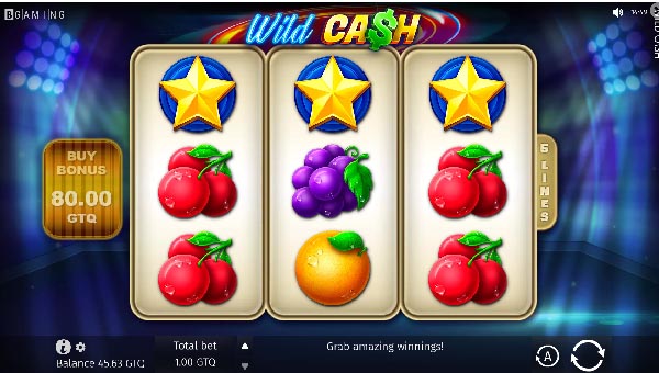 scr_Wild Cash