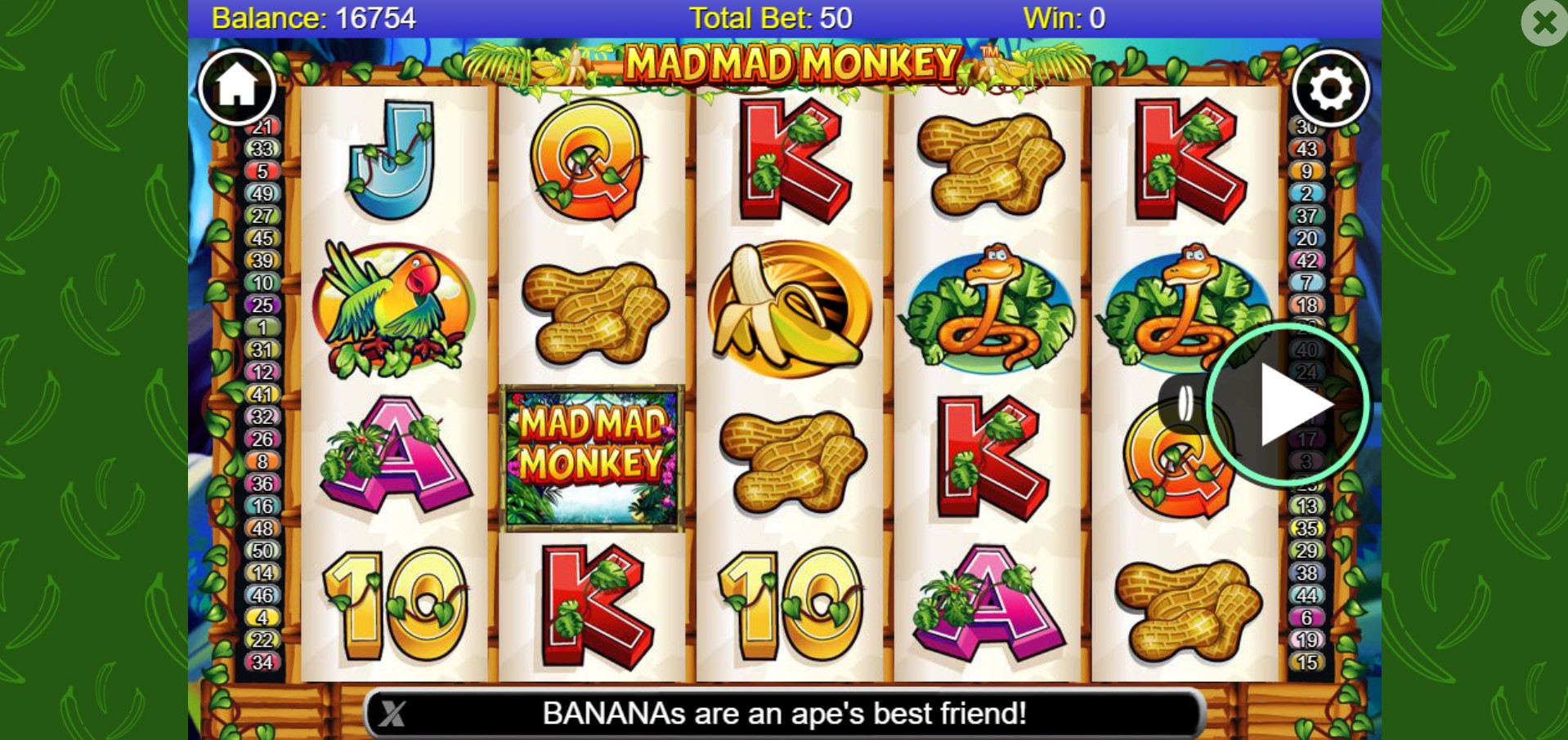 scr_Mad Mad Monkey