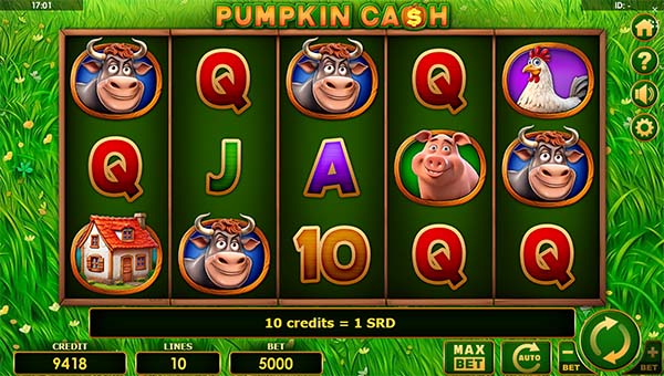 scr_Pumpkin Cash