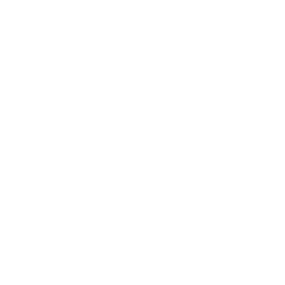21plus