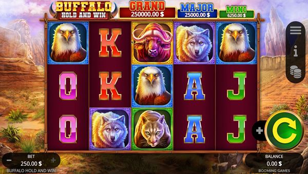 scr_Buffalo Hold and Win