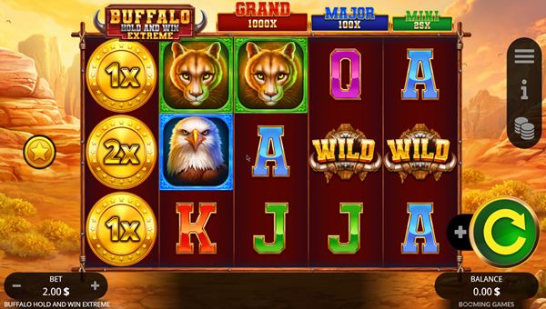 scr_Buffalo Hold and Win Extreme