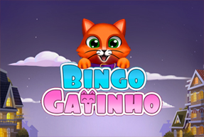 Bingo Gatinho