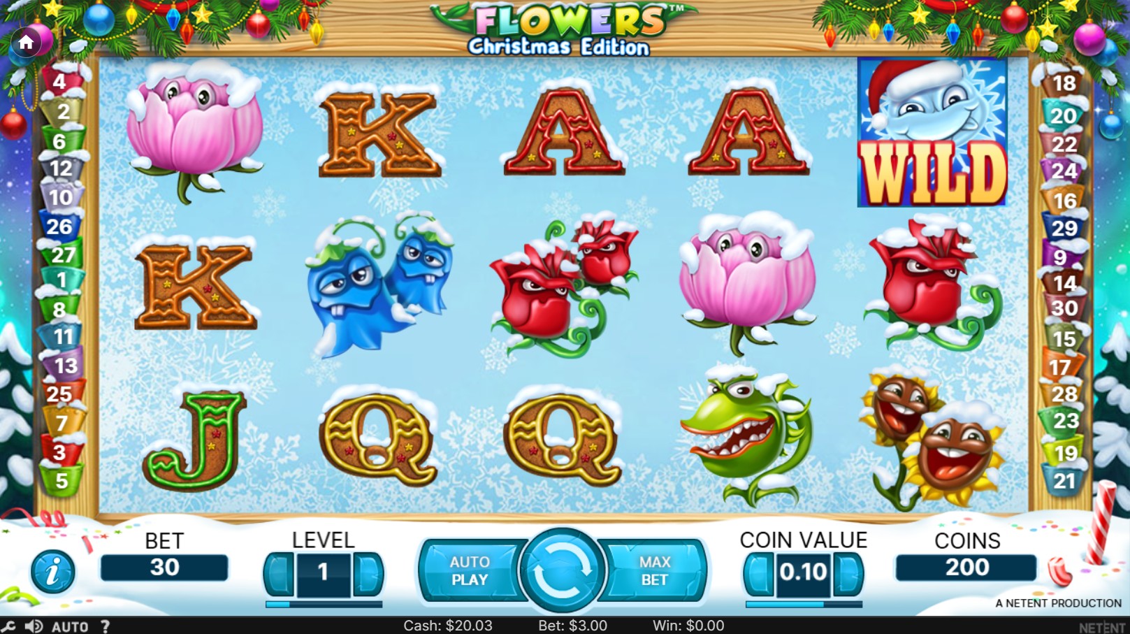 scr_Flowers Christmas Edition