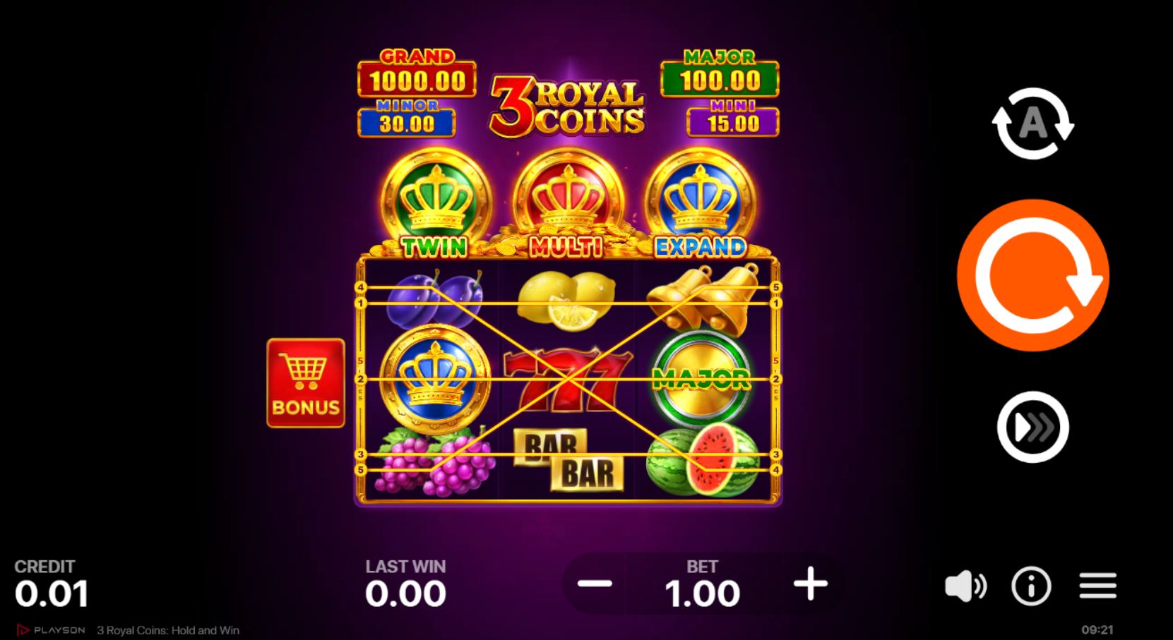 scr_3 Royal Coins: Hold and Win