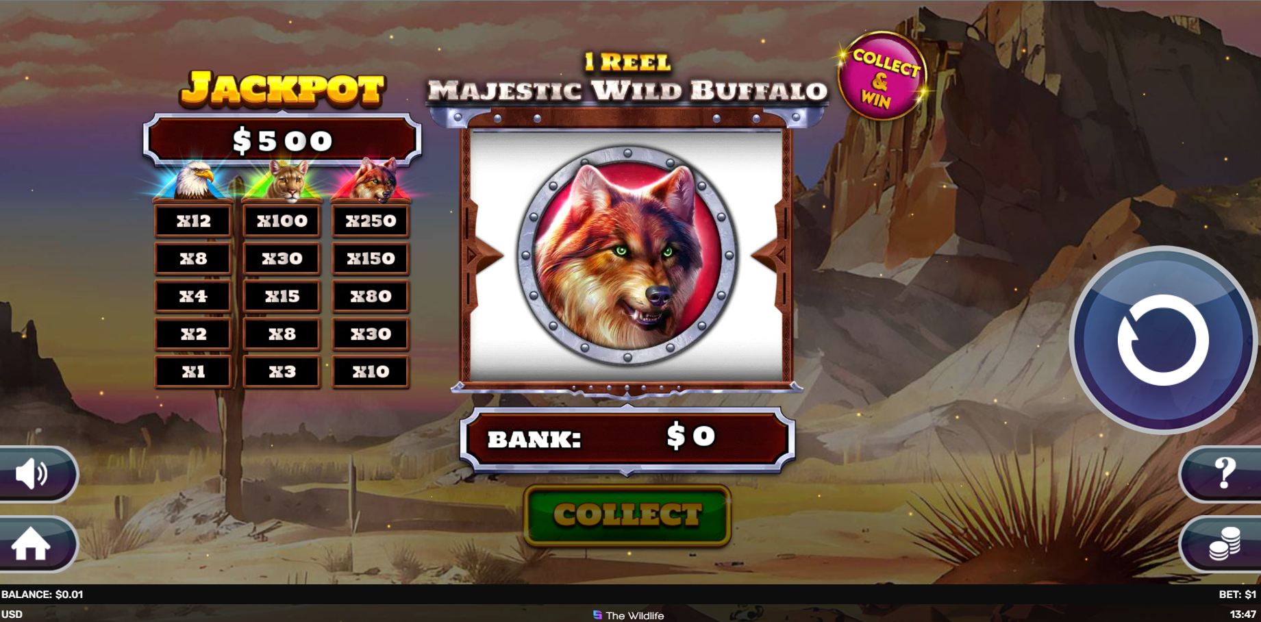 scr_1 Reel - Majestic Wild Buffalo