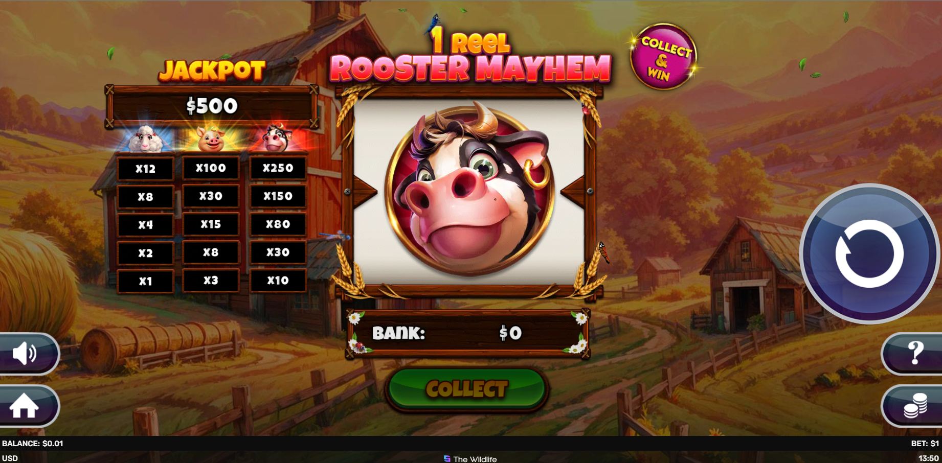 scr_1 Reel - Rooster Mayhem